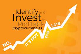 investing cryptocurrencies