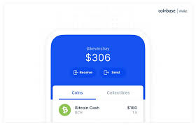 bitcoin cash wallet