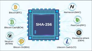 sha256 coin