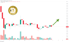 dogecoin