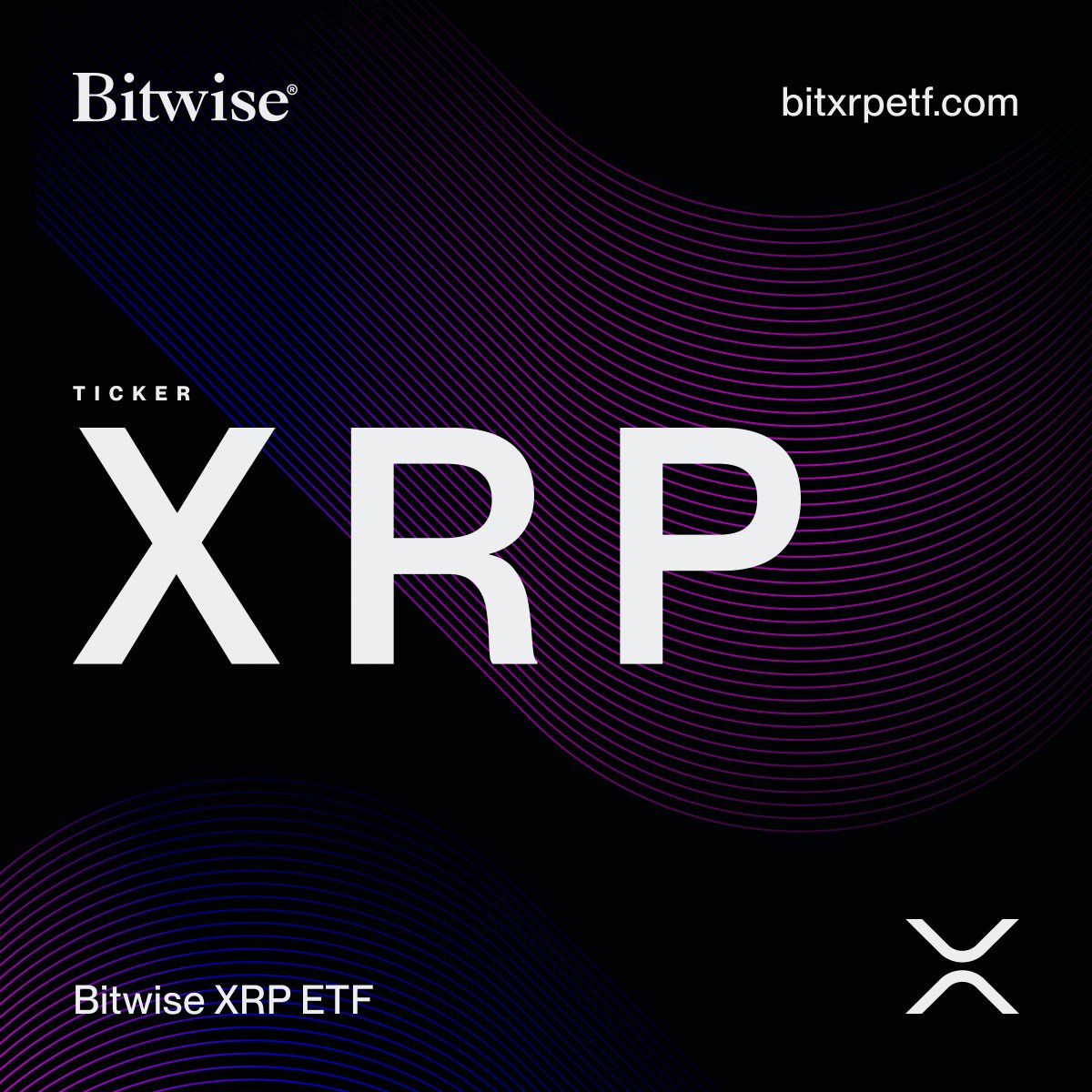 ripple en xrp