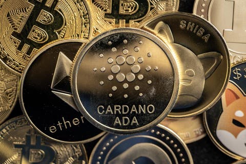 cardano's