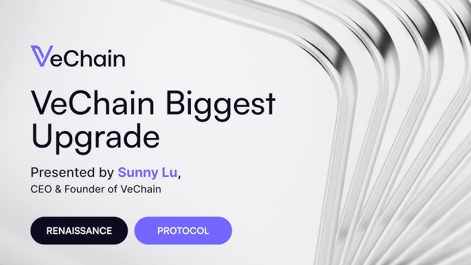 vechain's