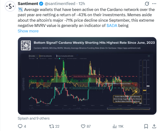 cardano nieuws